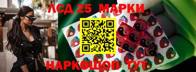прущие грибы Краснодар