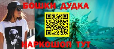 индика Краснознаменск