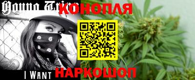 индика Краснознаменск