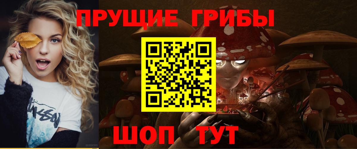 Тольятти  купить  сайты  Вход с VPN  Галлюциногенные грибы мицелий 